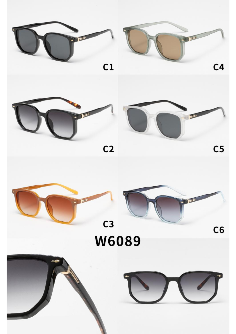 Модель W6089