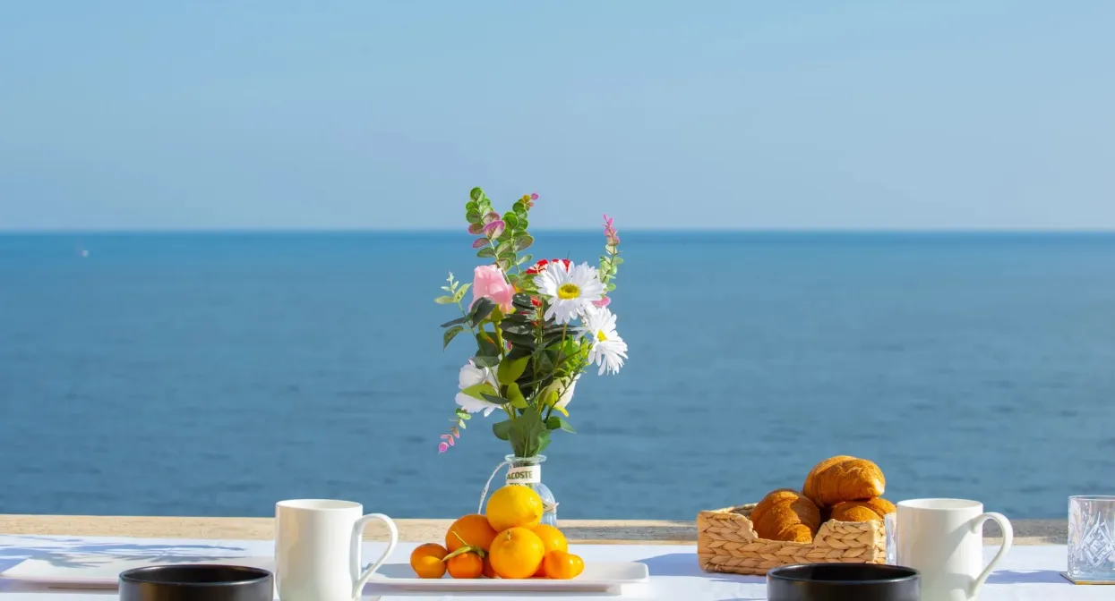 Unique penthouse with terraces and sea views — real estate on the French Riviera — photo 43