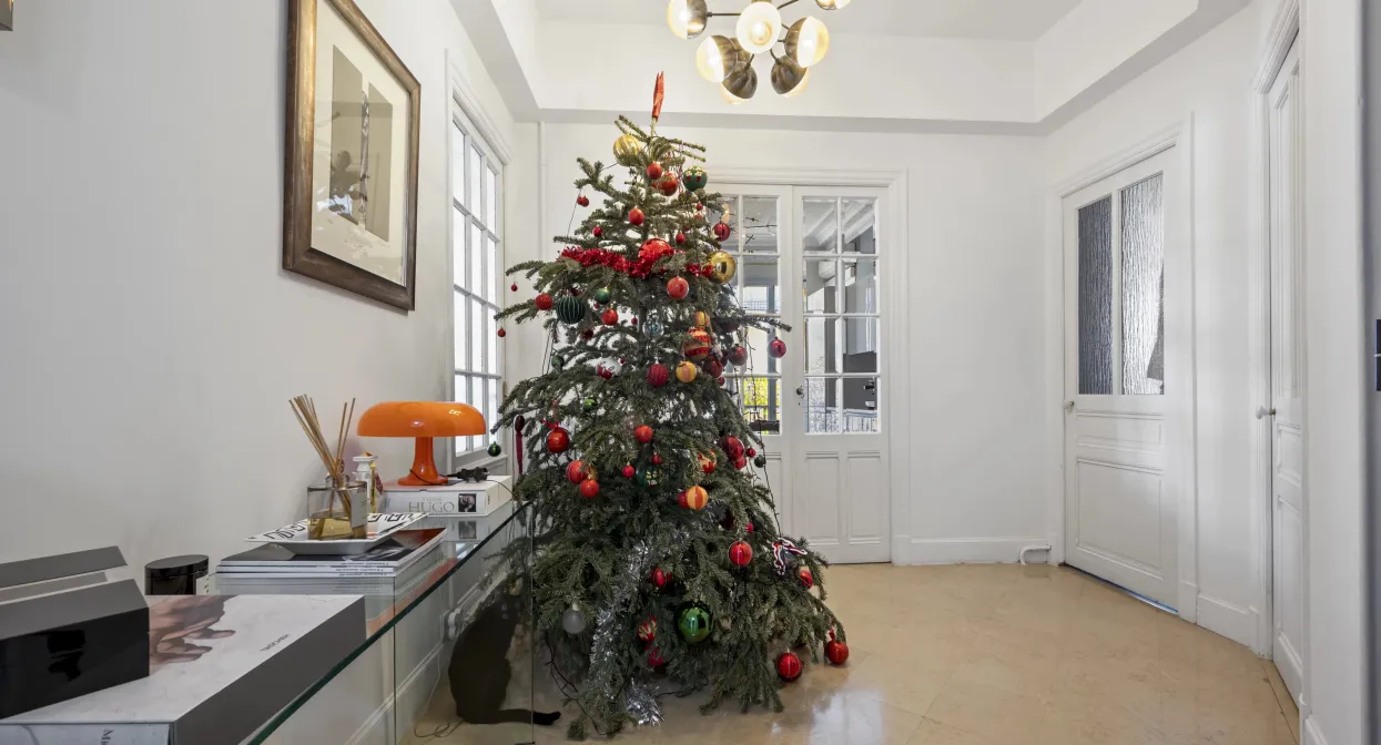 Elegant and refurbished penthouse in Les Musiciens — real estate on the French Riviera — photo 20