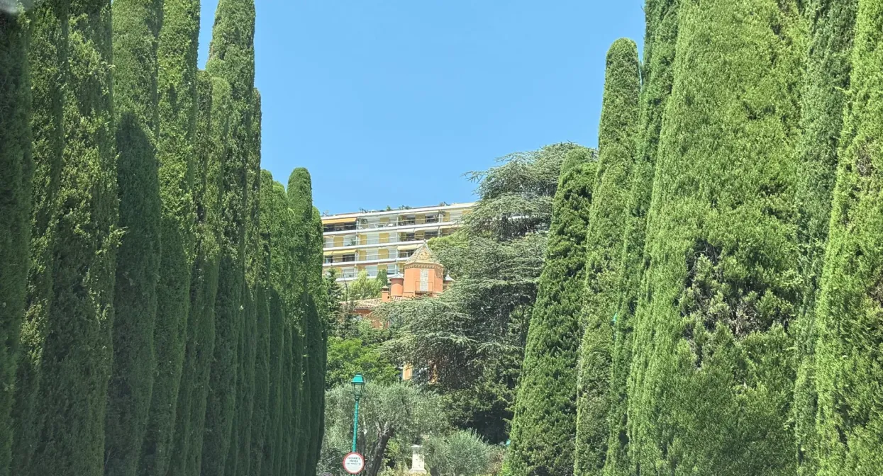 Three bedroom apartment with sea view — real estate on the French Riviera — photo 15