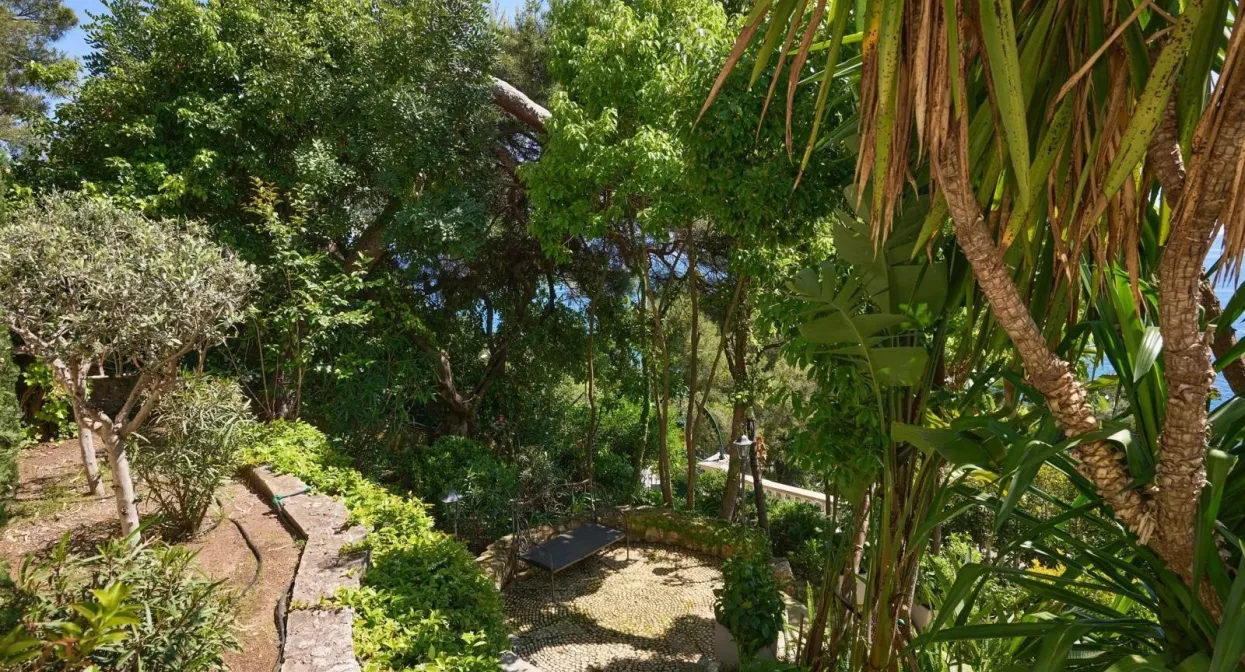 Lush garden scene with diverse tropical plants, winding stone path, shaded seating area, and a serene, natural ambiance near Monaco.
