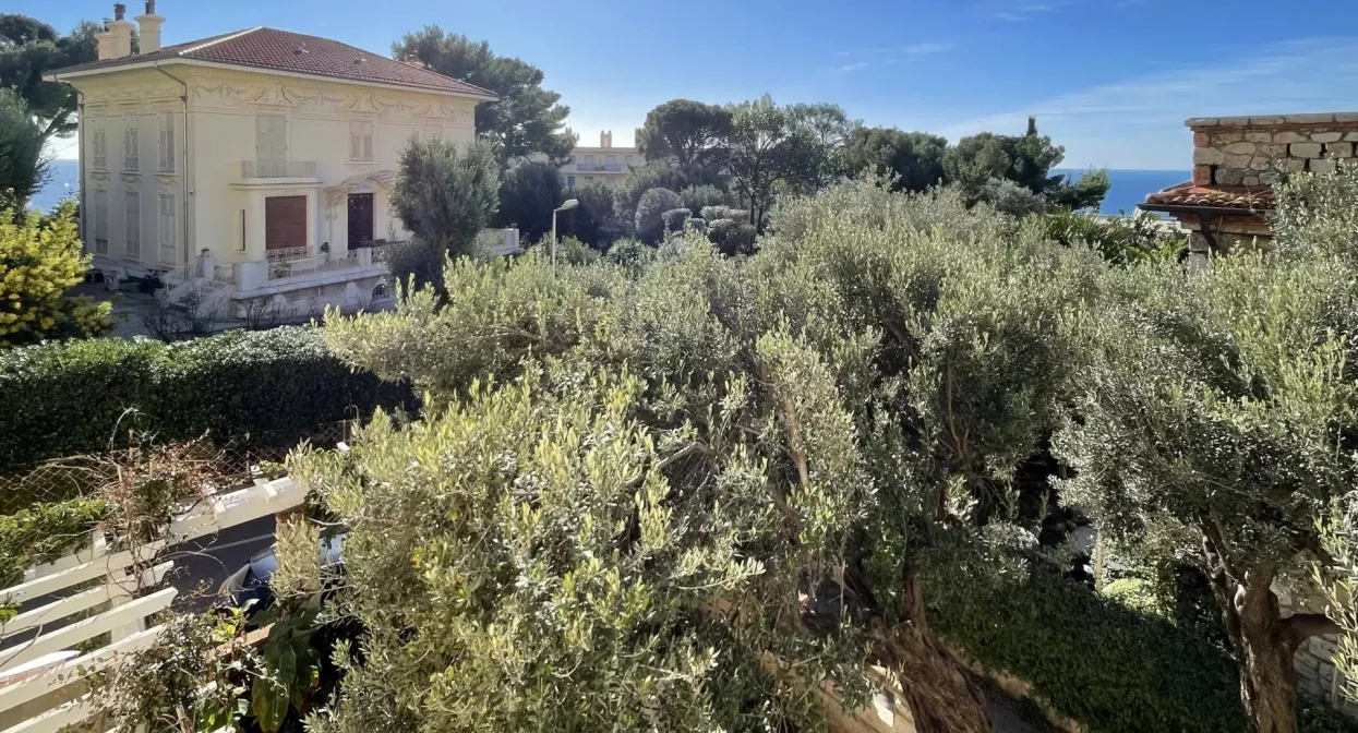 Luxury Belle Epoque apartment near Monaco — real estate on the French Riviera — photo 10