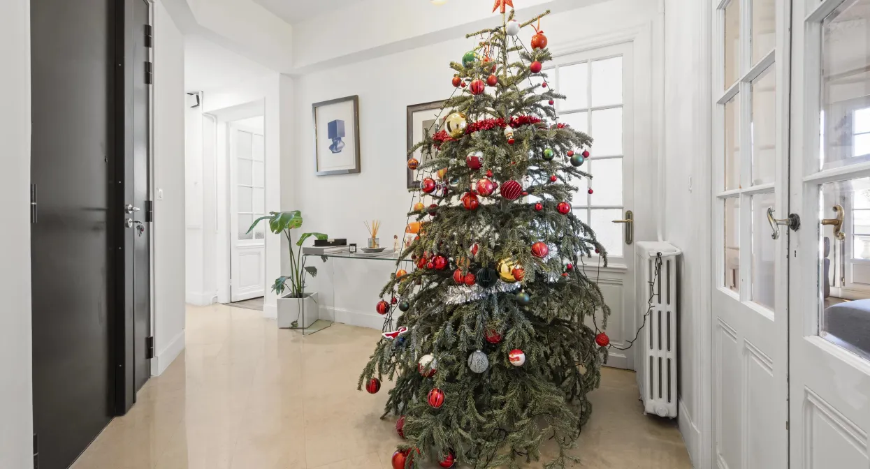 Elegant and refurbished penthouse in Les Musiciens — real estate on the French Riviera — photo 34
